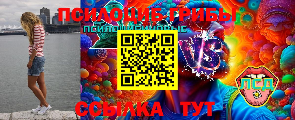 Галлюциногенные грибы Psilocybe  Вход с VPN  Родники 